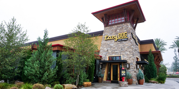 Customer Spotlight: Lazy Dog