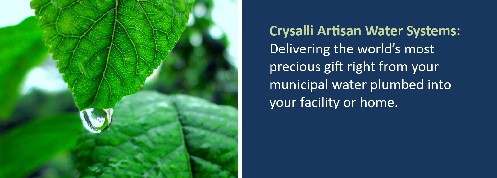 Crysalli Artisan Water